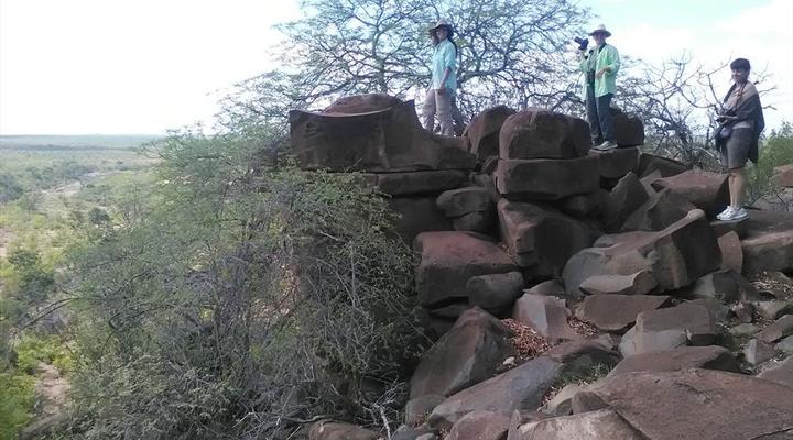 Kruger Park Safari from Southern to Northern Kruger for 6 Nights