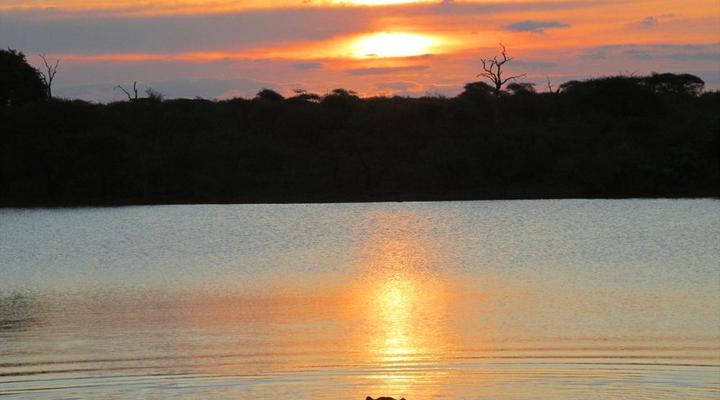 Kruger Park Safari from Southern to Northern Kruger for 6 Nights