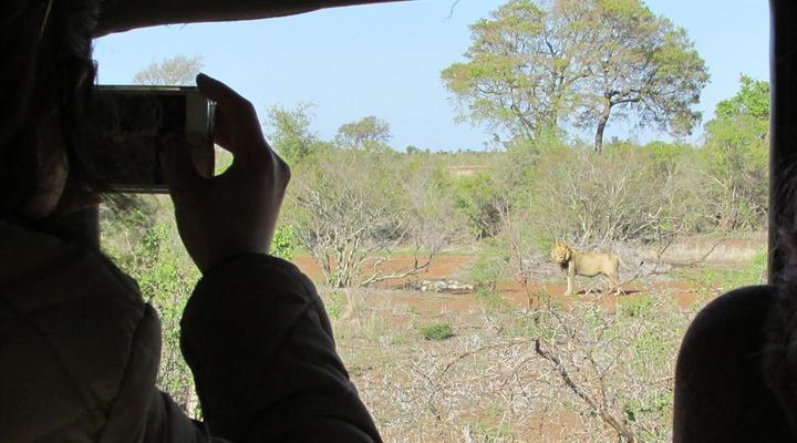 Kruger Park Safari from Southern to Northern Kruger for 6 Nights