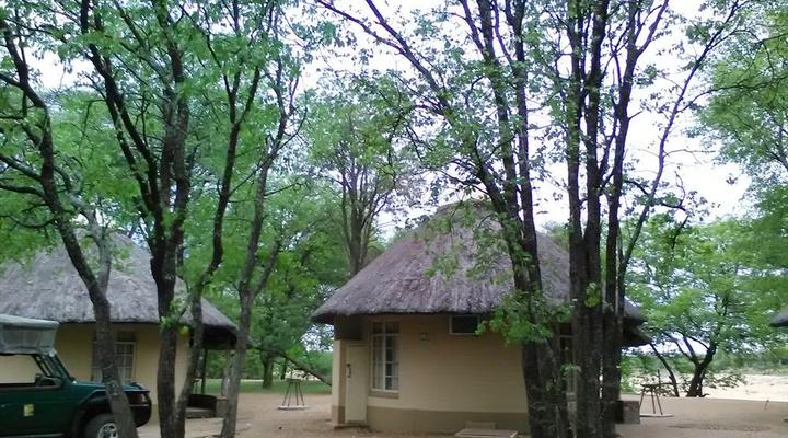 Kruger Park Safari from Southern to Northern Kruger for 6 Nights