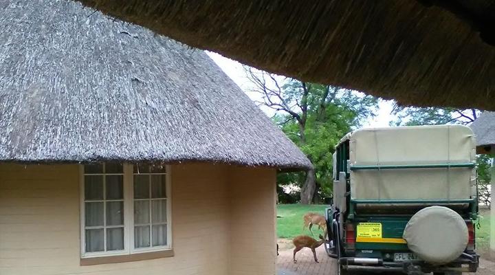 Kruger Park 2 Night Safari Get Away