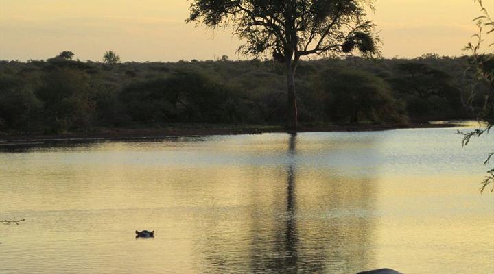 Kruger Park 2 Night Safari Get Away