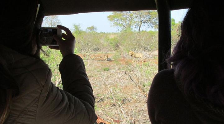 Kruger Park 2 Night Safari Get Away