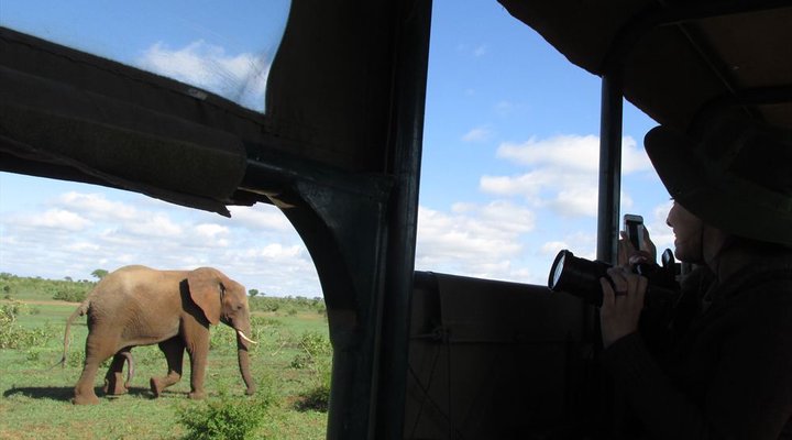 4 Night Kruger Park Safari and Activities Tour