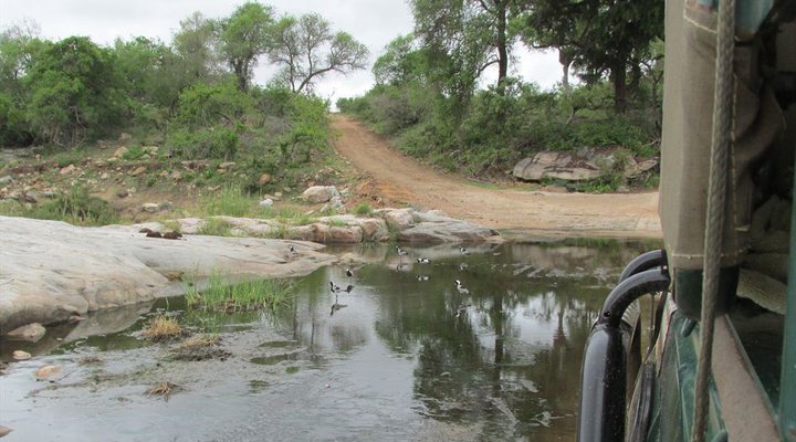 4 Night Kruger Park Safari and Activities Tour