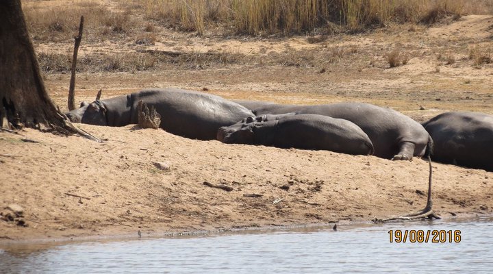Chill-'n-Biki Lodge Mabalingwe