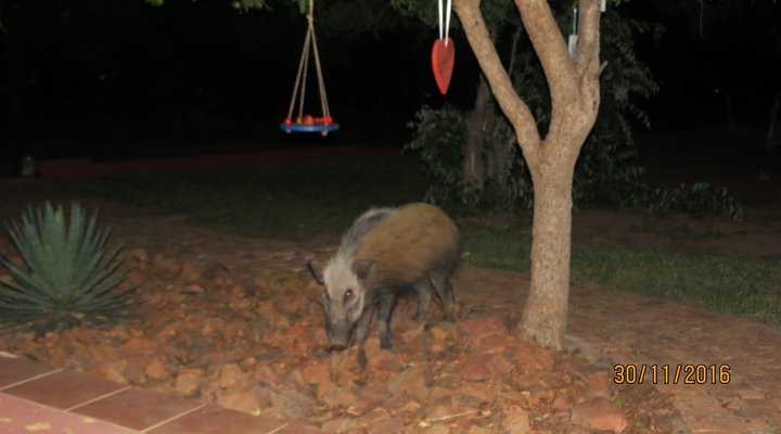 Chill-'n-Biki Lodge Mabalingwe