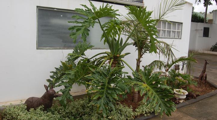 Ons Kontrei Gastehuis