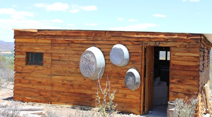 The Travelling Tortoise