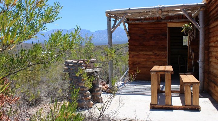 The Travelling Tortoise