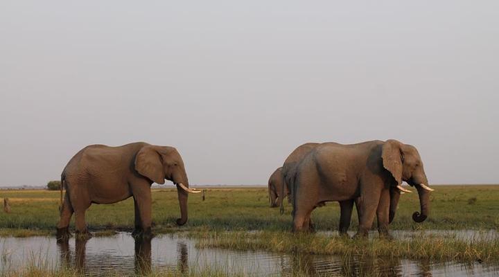 11 Night Third Bridge Mobile Camp & Safari Package