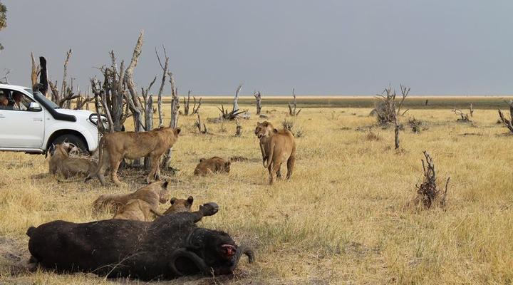 11 Night Third Bridge Mobile Camp & Safari Package