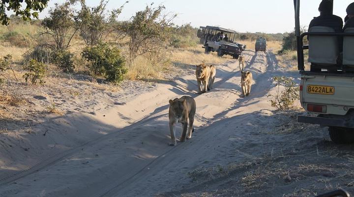 11 Night Third Bridge Mobile Camp & Safari Package