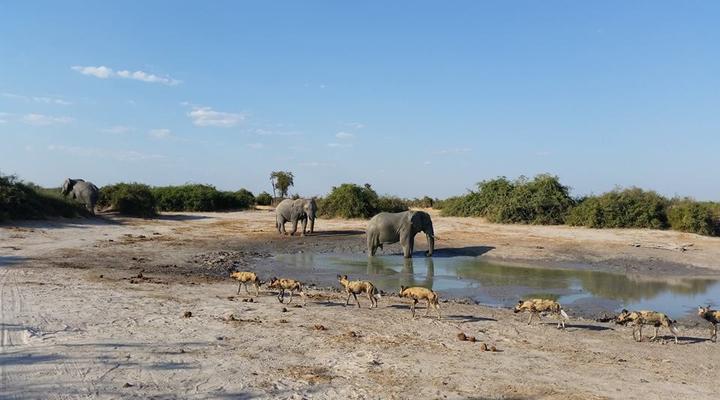 11 Night Third Bridge Mobile Camp & Safari Package