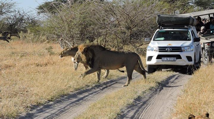  Khwai Mobile Camp & Safari