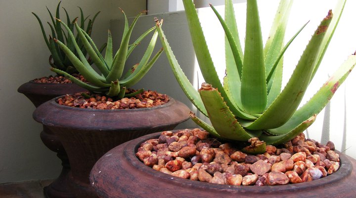 The Golf House @ No.7 Prince's Grant