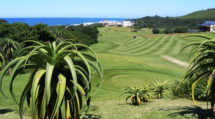 The Golf House @ No.199