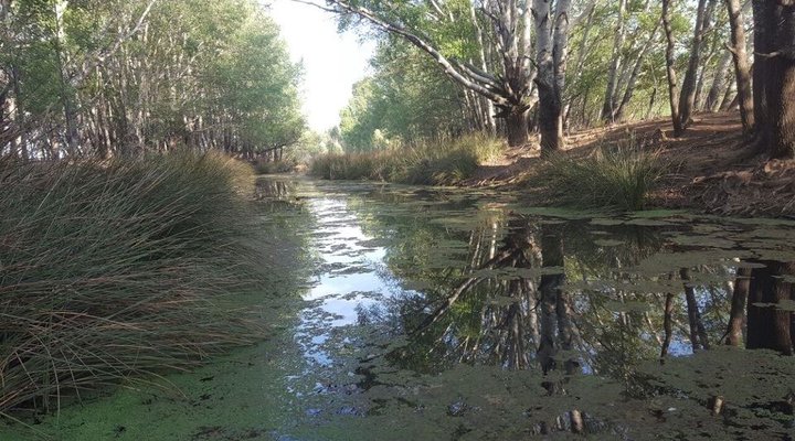 Hoedklip Lodge Molteno