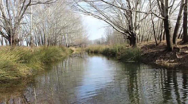 Hoedklip Lodge Molteno