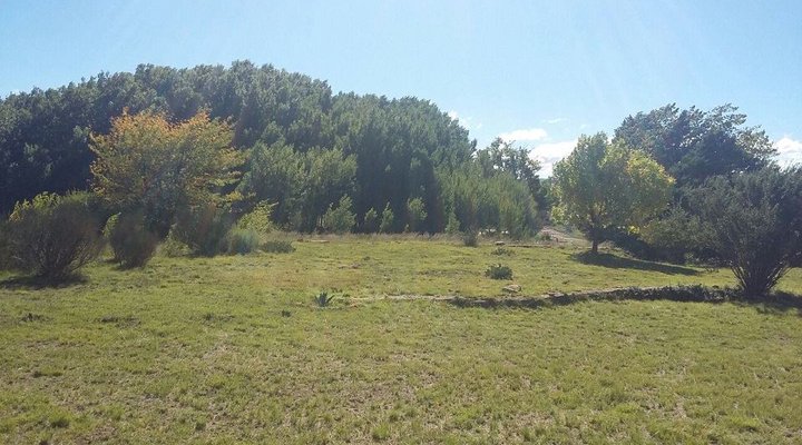 Hoedklip Lodge Molteno