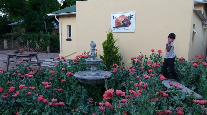 My Little Oasis