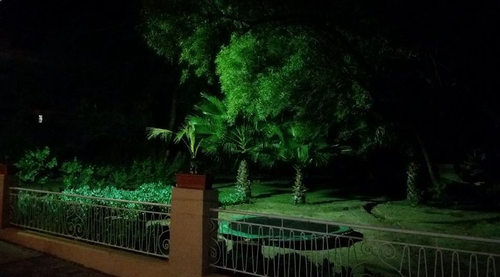 My Little Oasis