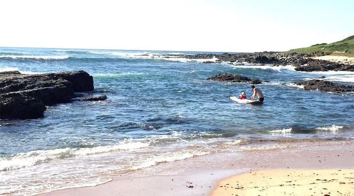 CoCotree Beach Cottage