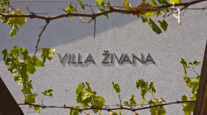 Villa Zivana