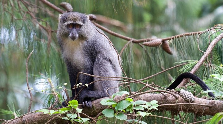 Kurisa Moya Nature Lodge