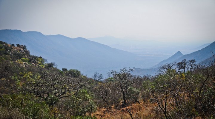 Kurisa Moya Nature Lodge