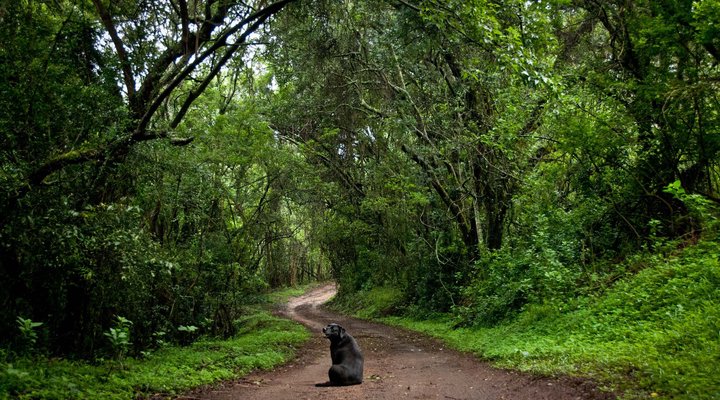 Kurisa Moya Nature Lodge