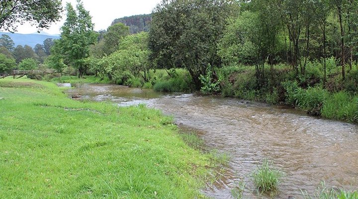 Ligna Lodge