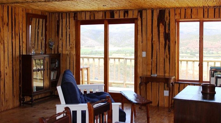 The Travelling Tortoise