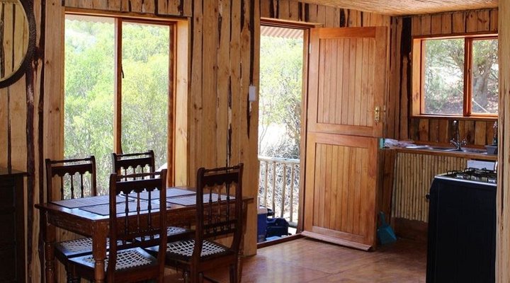 The Travelling Tortoise