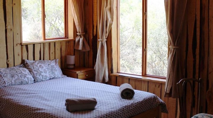 The Travelling Tortoise