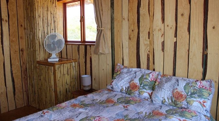 The Travelling Tortoise