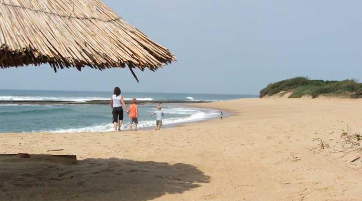 Go Wild Beach Resort