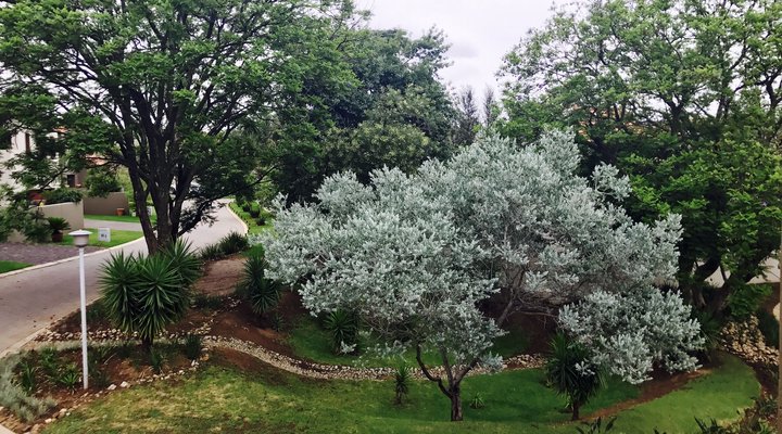 The Nest - Broadacres Luxury Self Catering 