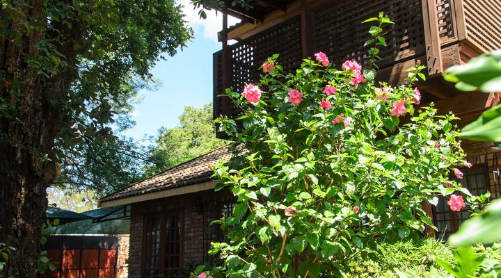 Irene B&B and Self-Catering