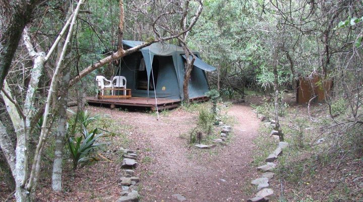 Tia Ghee Tented Camp
