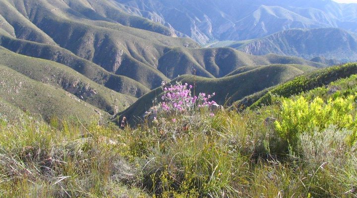 Tia Ghee Tented Camp
