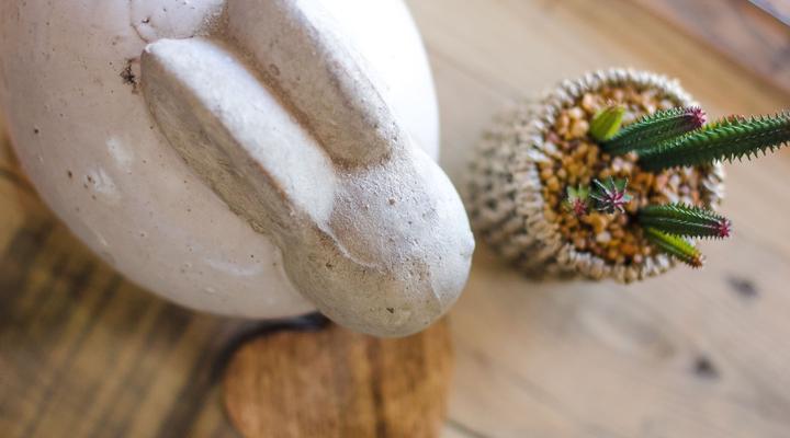 Rest @ Chabivin Vineyard Studio