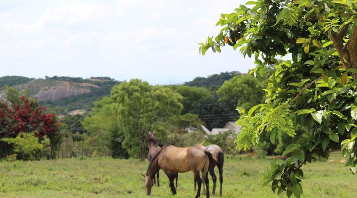 Tipis Africa Guest Lodge