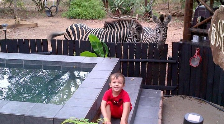 Live-A-Little - Marloth Park