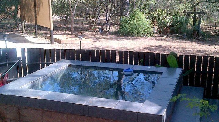 Live-A-Little - Marloth Park