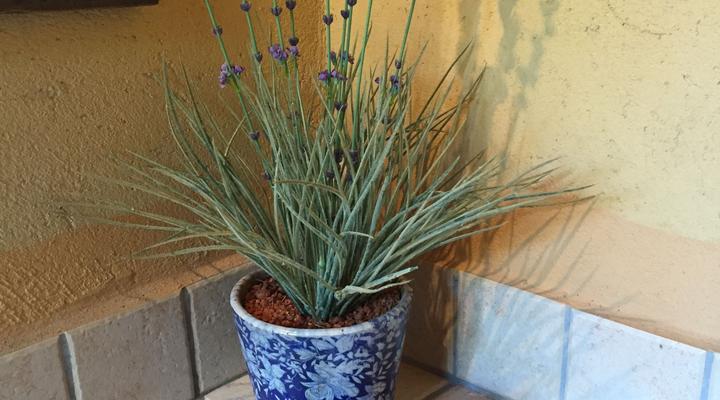 Tipis Africa Guest Lodge