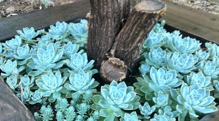 DeKat B&B and Self-Catering