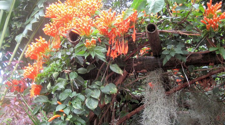 Casa Tia Villa Holiday Home Mauritius