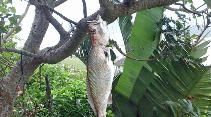 Freedom O Clock Backpacking Retreat