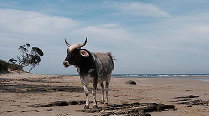 Freedom O Clock Backpacking Retreat